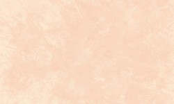 Decorazza STUCCO VENEZIANO / Цвет #SV  10-25